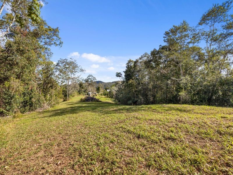 408 Bowraville Road, Brierfield NSW 2454