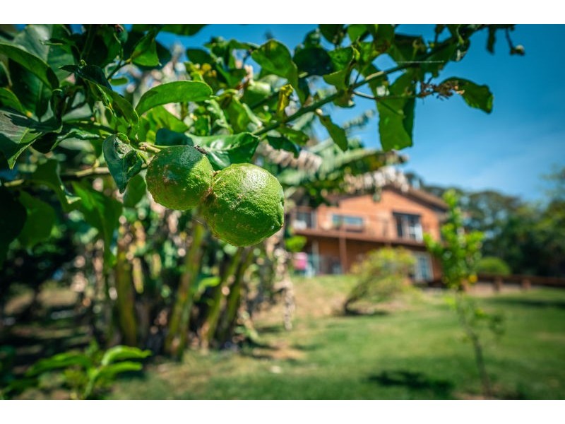 19 Tuckers Rock Road, Repton NSW 2454