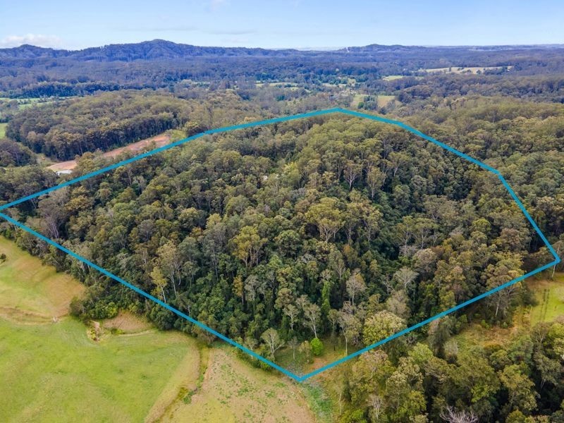 88 Basin Road, Brierfield NSW 2454