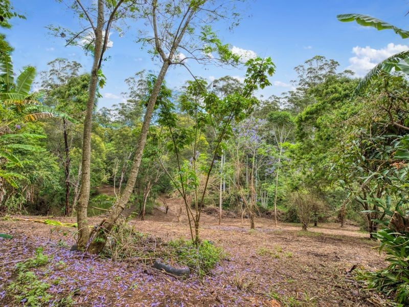 64 Scotchman Road, Bellingen NSW 2454