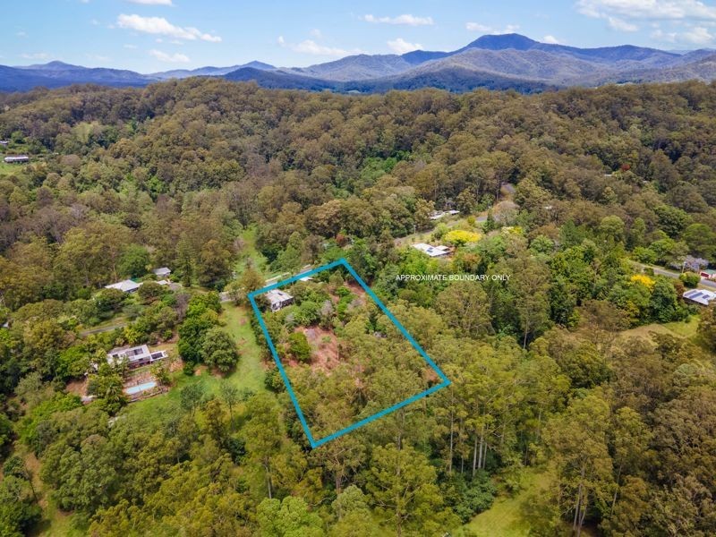 64 Scotchman Road, Bellingen NSW 2454