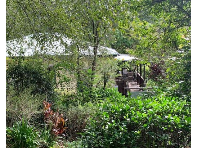 38 Scotchman Road, Bellingen NSW 2454