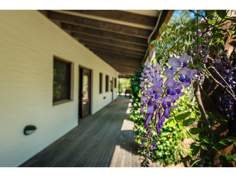 184 Kalang Road, Bellingen NSW 2454