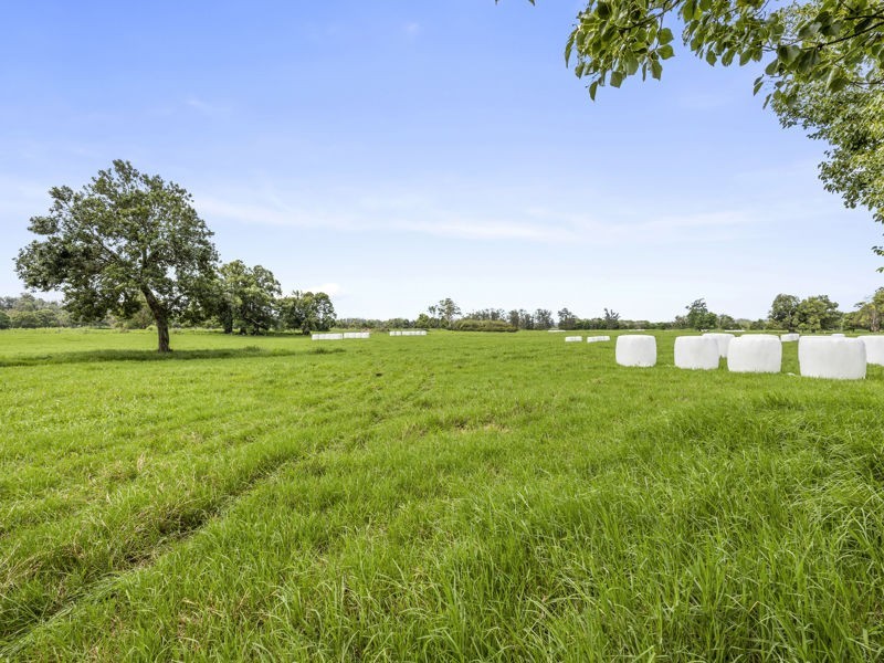 937 North Bank Road, Raleigh NSW 2454