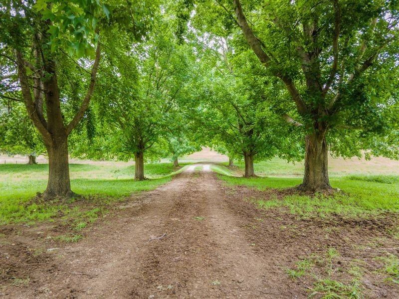 937 North Bank Road, Raleigh NSW 2454