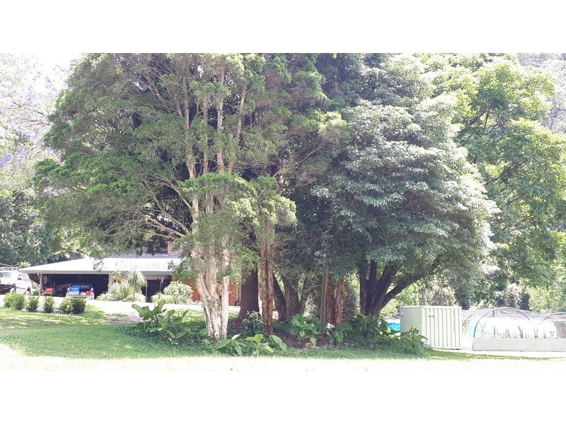 1824 Darkwood Rd, Darkwood NSW 2454