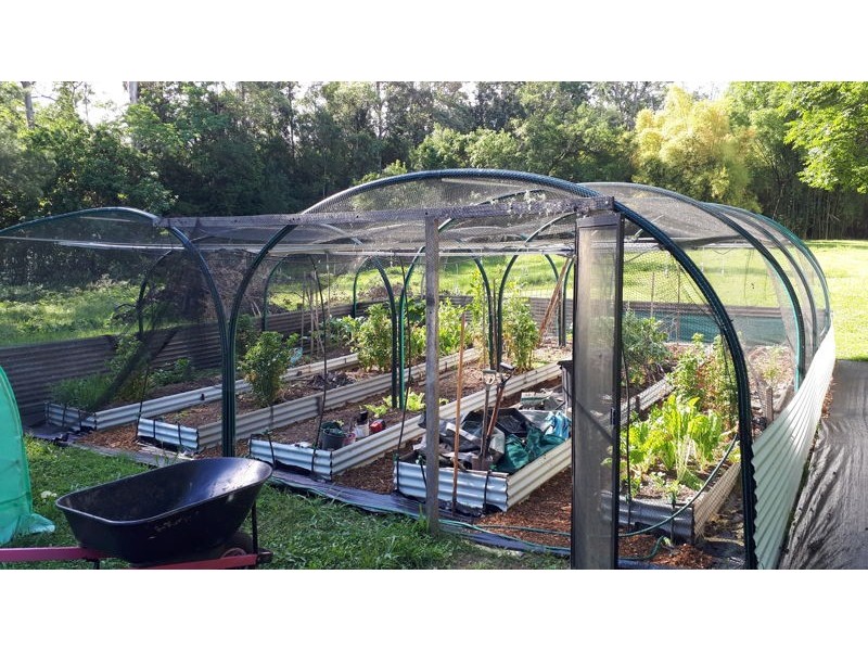 1824 Darkwood Rd, Darkwood NSW 2454