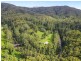 865 Kalang Road, Bellingen NSW 2454