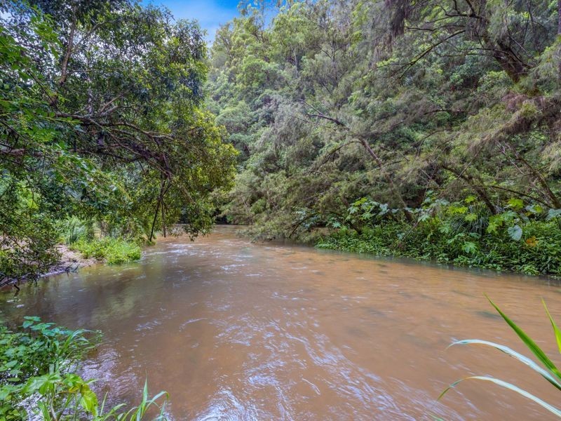 865 Kalang Road, Bellingen NSW 2454