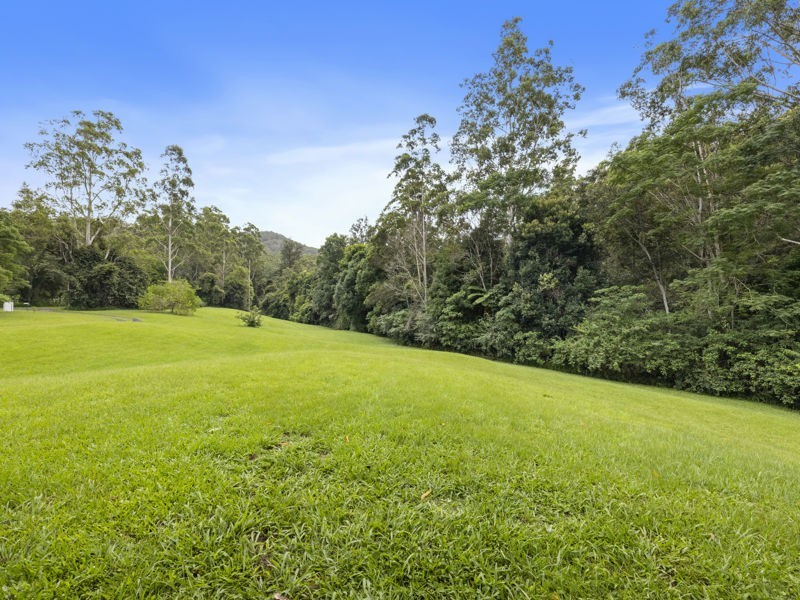 865 Kalang Road, Bellingen NSW 2454