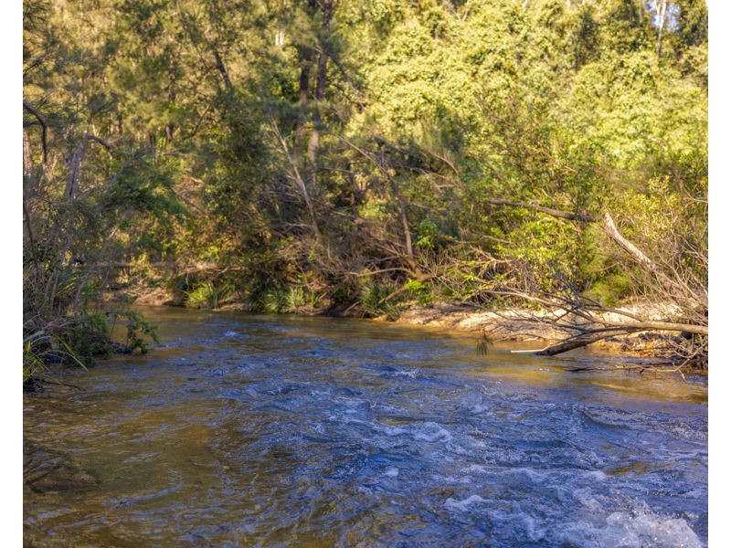 865 Kalang Road, Bellingen NSW 2454