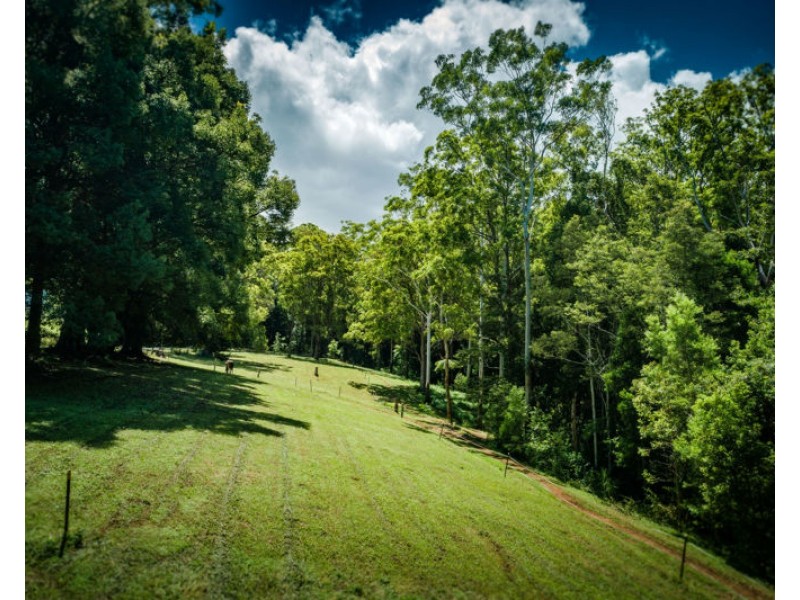 94 Promised Land Road, Gleniffer NSW 2454