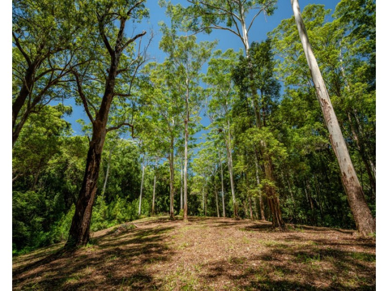 94 Promised Land Road, Gleniffer NSW 2454