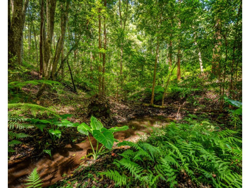 94 Promised Land Road, Gleniffer NSW 2454