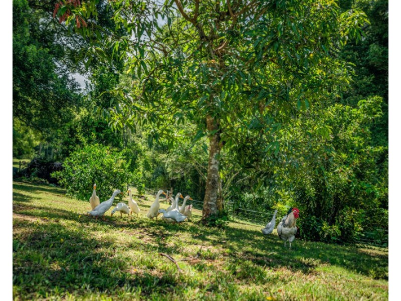 94 Promised Land Road, Gleniffer NSW 2454