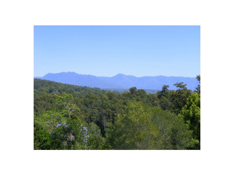 158 Old Brierfield Road, Bellingen NSW 2454