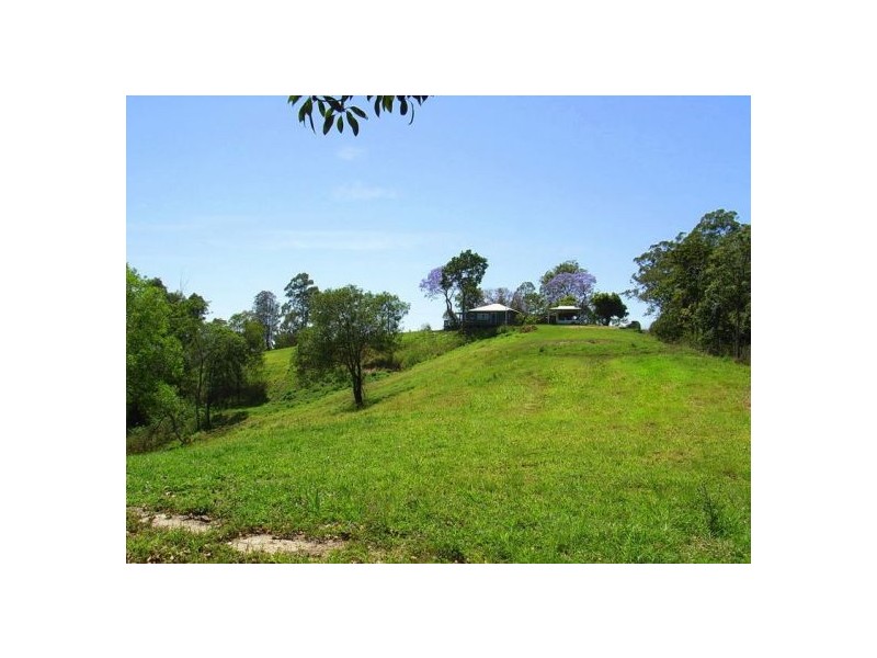 158 Old Brierfield Road, Bellingen NSW 2454