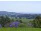 158 Old Brierfield Road, Bellingen NSW 2454