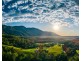 691 Promised Land Road, Bellingen NSW 2454