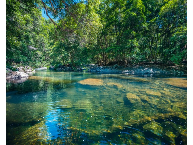 691 Promised Land Road, Bellingen NSW 2454