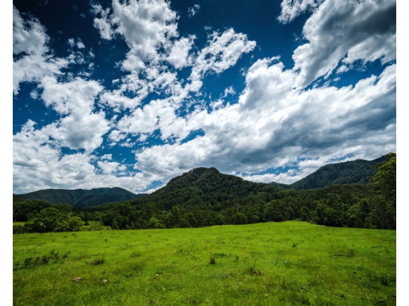 691 Promised Land Road, Bellingen NSW 2454