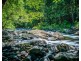 691 Promised Land Road, Bellingen NSW 2454