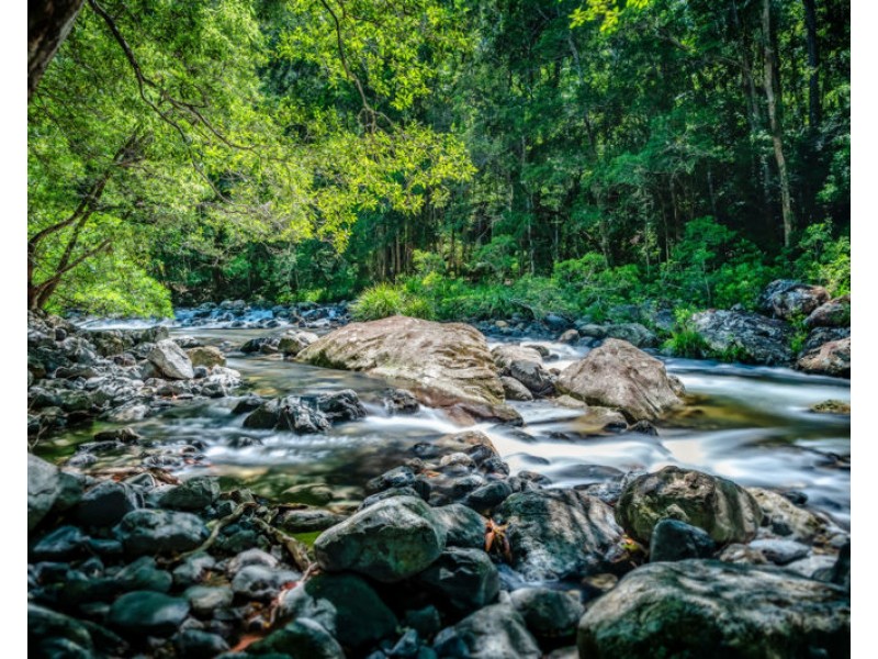 691 Promised Land Road, Bellingen NSW 2454