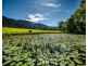 691 Promised Land Road, Bellingen NSW 2454