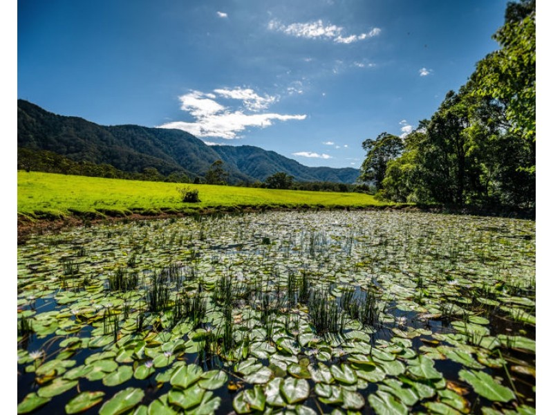 691 Promised Land Road, Bellingen NSW 2454