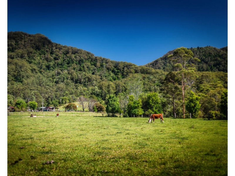 691 Promised Land Road, Bellingen NSW 2454