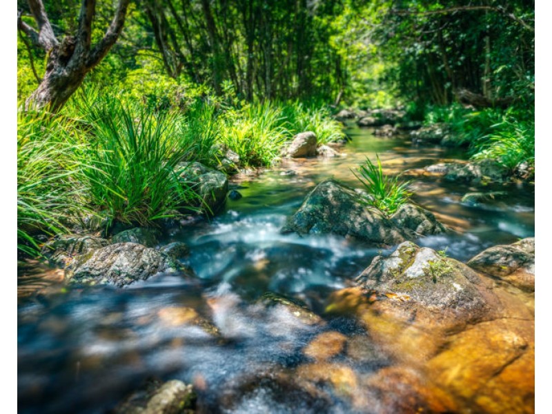 691 Promised Land Road, Bellingen NSW 2454