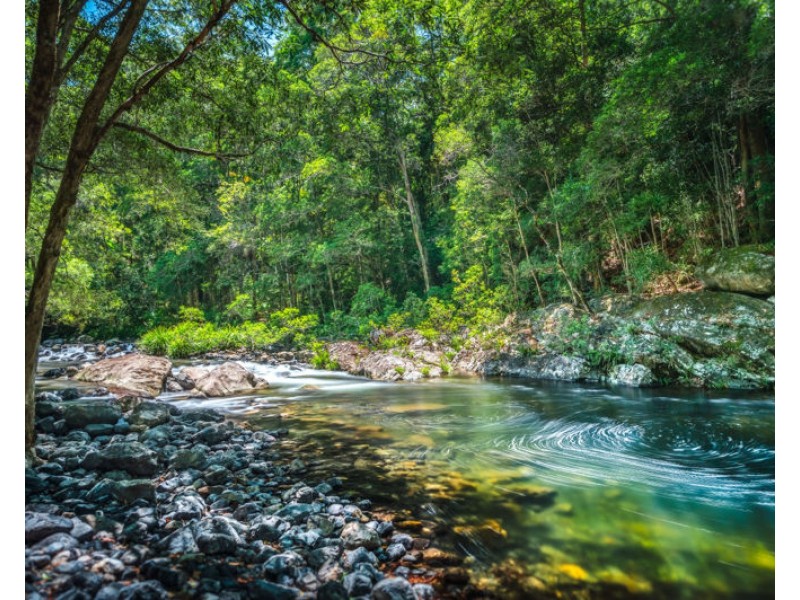 691 Promised Land Road, Bellingen NSW 2454