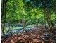 691 Promised Land Road, Bellingen NSW 2454