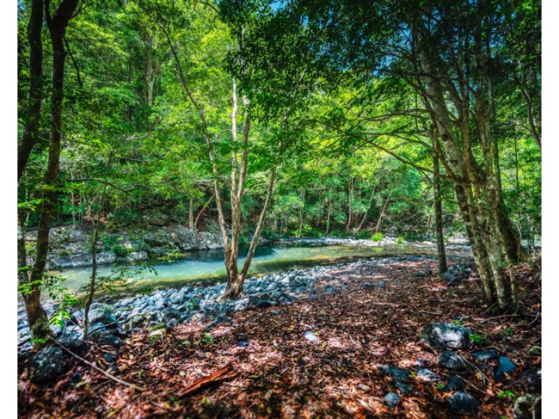 691 Promised Land Road, Bellingen NSW 2454
