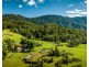691 Promised Land Road, Bellingen NSW 2454