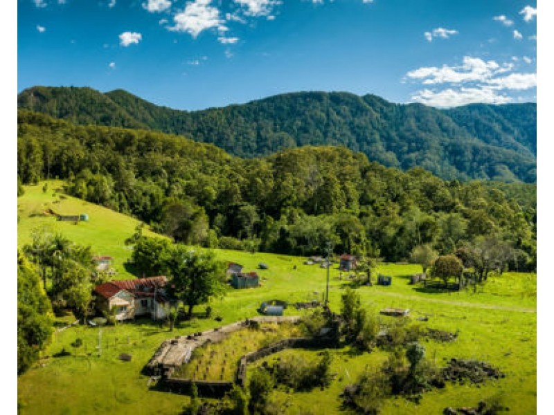 691 Promised Land Road, Bellingen NSW 2454