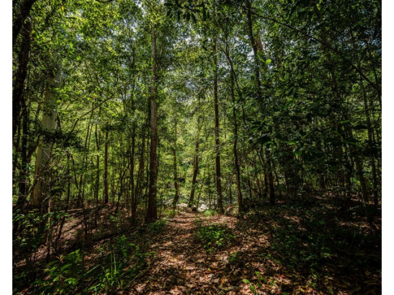 691 Promised Land Road, Bellingen NSW 2454