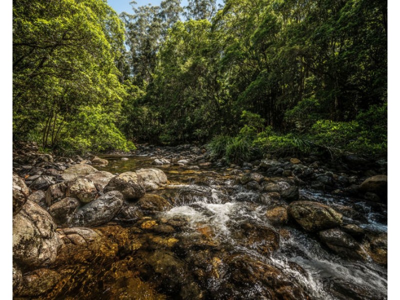 691 Promised Land Road, Bellingen NSW 2454