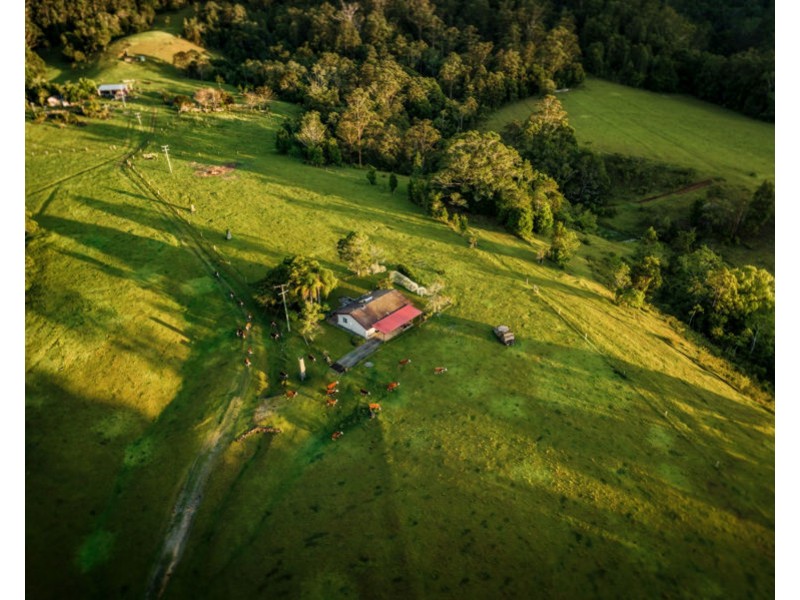 691 Promised Land Road, Bellingen NSW 2454