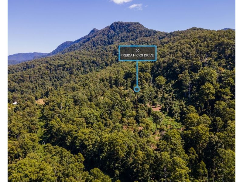 100 Freida Hicks Drive, Gleniffer NSW 2454
