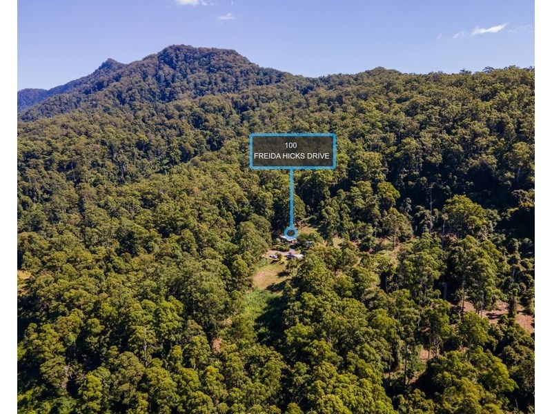 100 Freida Hicks Drive, Gleniffer NSW 2454