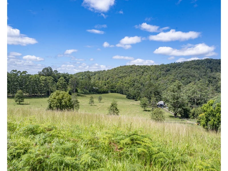 548 Kalang Road, Bellingen NSW 2454