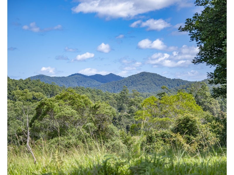 548 Kalang Road, Bellingen NSW 2454