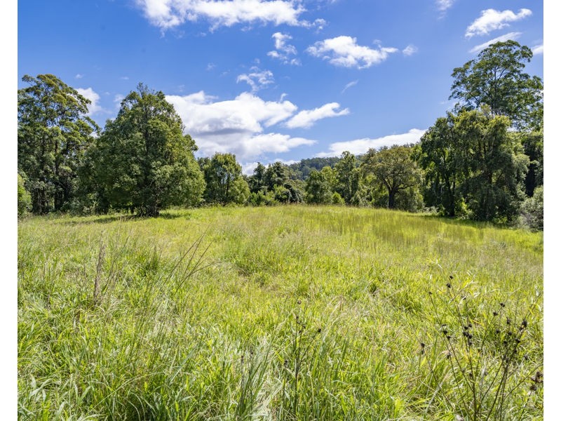 548 Kalang Road, Bellingen NSW 2454