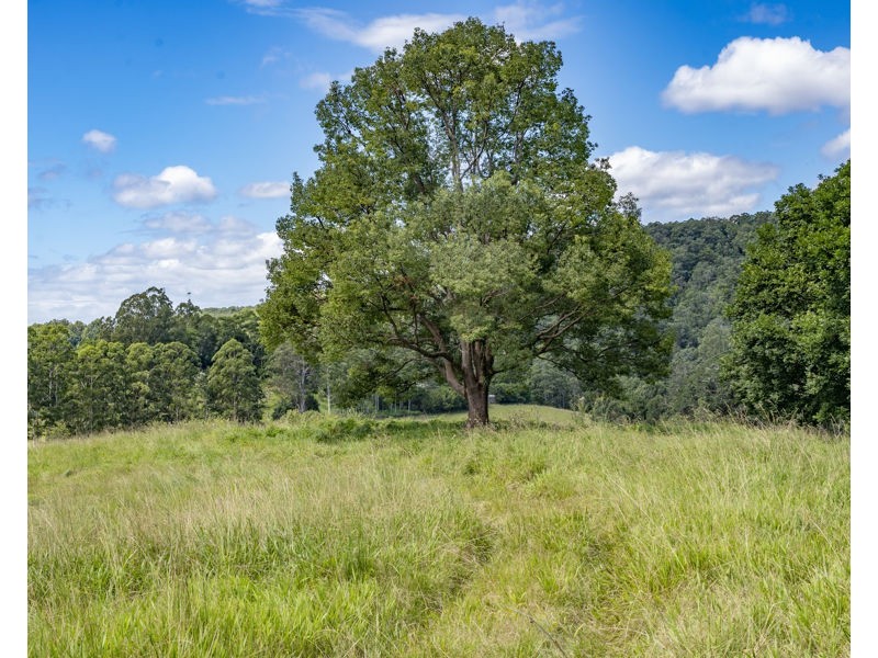 548 Kalang Road, Bellingen NSW 2454