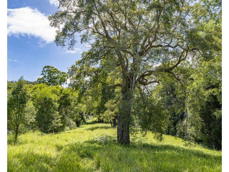 548 Kalang Road, Bellingen NSW 2454