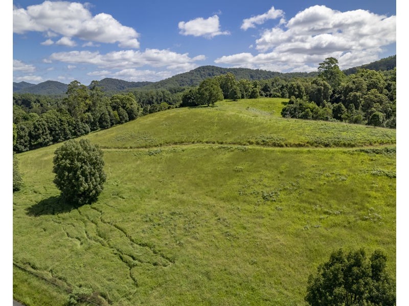 548 Kalang Road, Bellingen NSW 2454