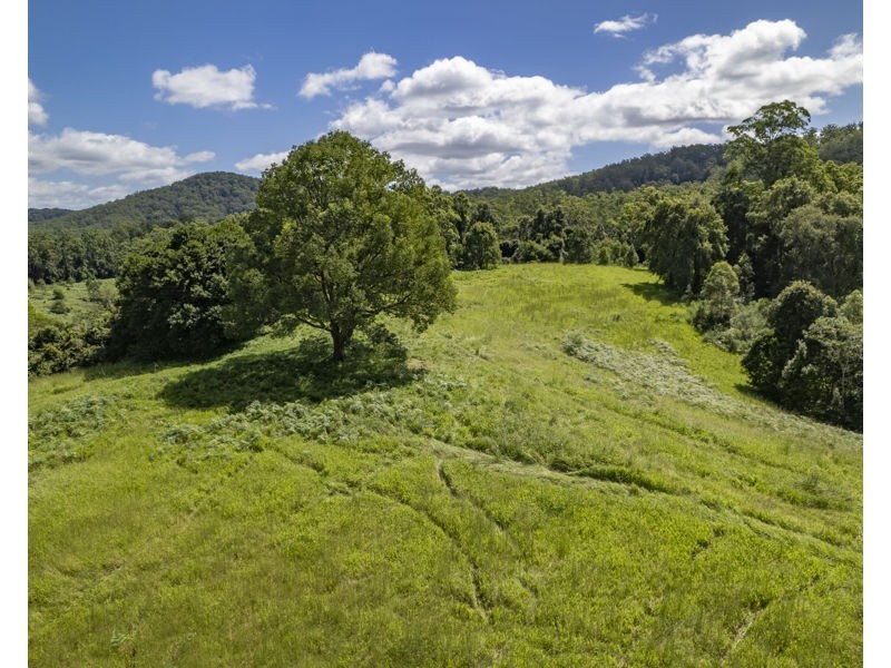 548 Kalang Road, Bellingen NSW 2454