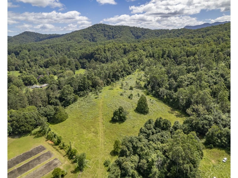548 Kalang Road, Bellingen NSW 2454