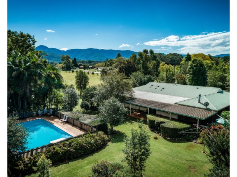 1605 Waterfall Way, Bellingen NSW 2454